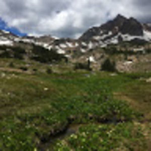 Meet your Posher, Ava